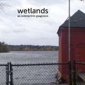 Wetlands small cover.jpg