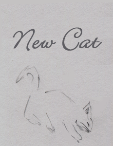 File:New Cat cover.png