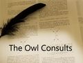 Owl Consults small cover.png