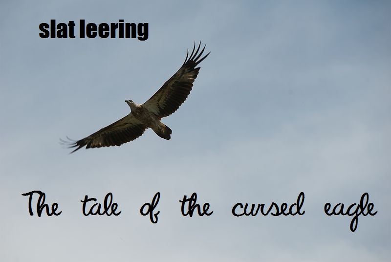 File:Tale of the cursed eagle cover.jpg