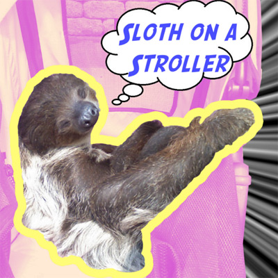 File:Slothonastroller.jpg