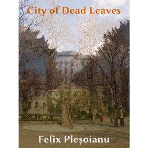 City of Dead Leaves cover.jpg
