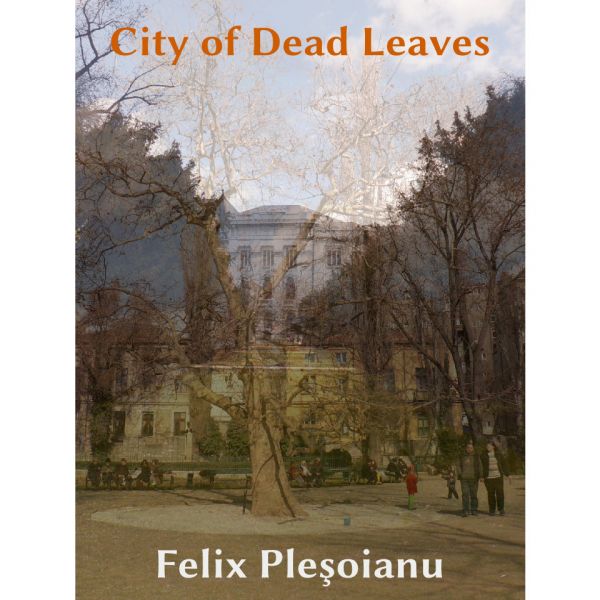 File:City of Dead Leaves cover.jpg