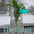 Usher cover.png