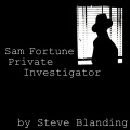 Sam Fortune Private Investigator cover.jpg