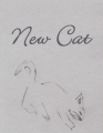 New Cat cover.png
