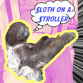 Slothonastroller.jpg