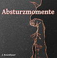 Absturzmomente-Cover.jpg